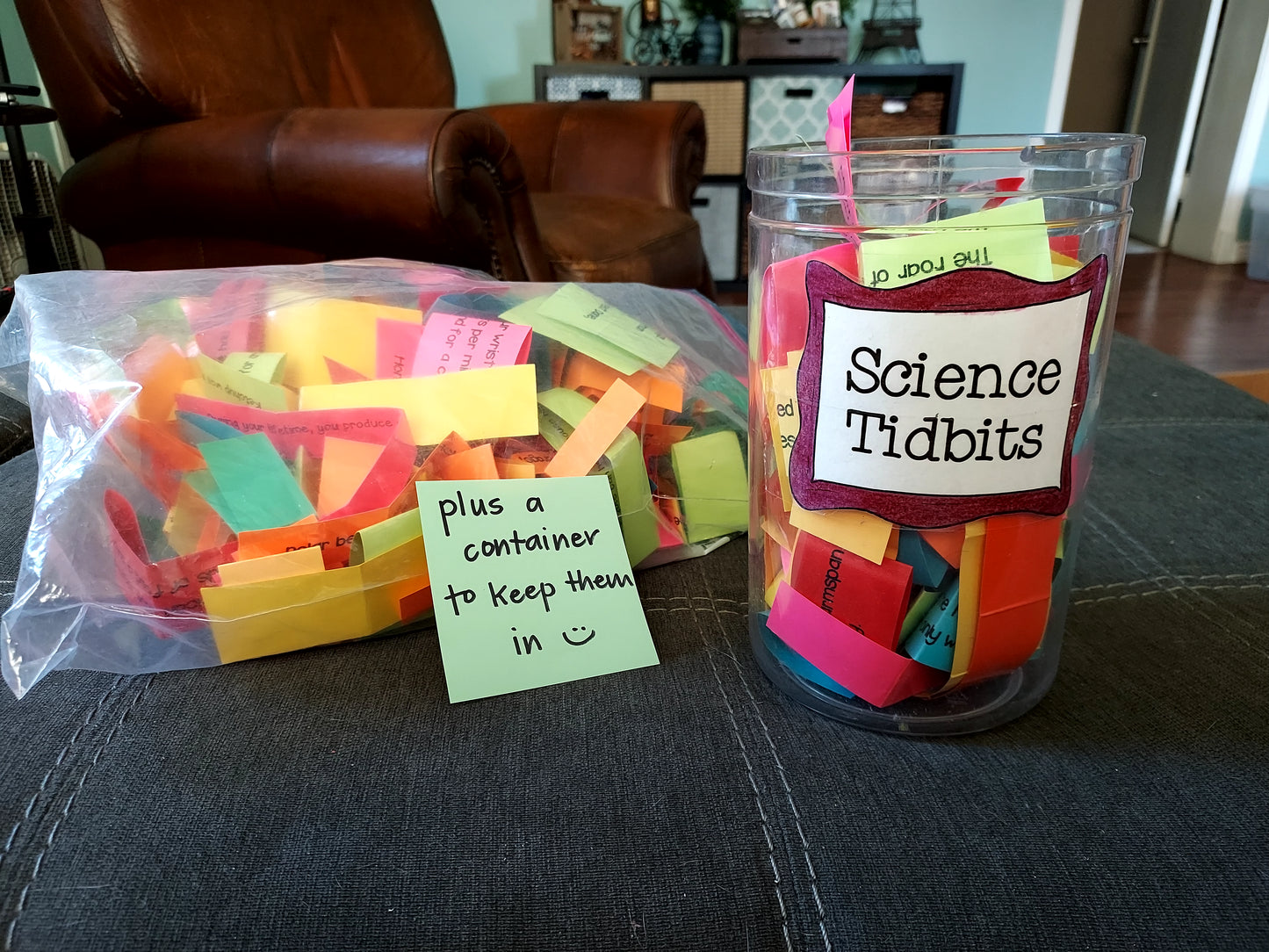 Classroom Items -- Perfect for K-2 classrooms