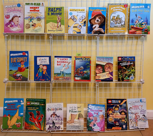 20 children's chapter books & readers for Grades 2-4 (10 new & 10 used, set #c25)