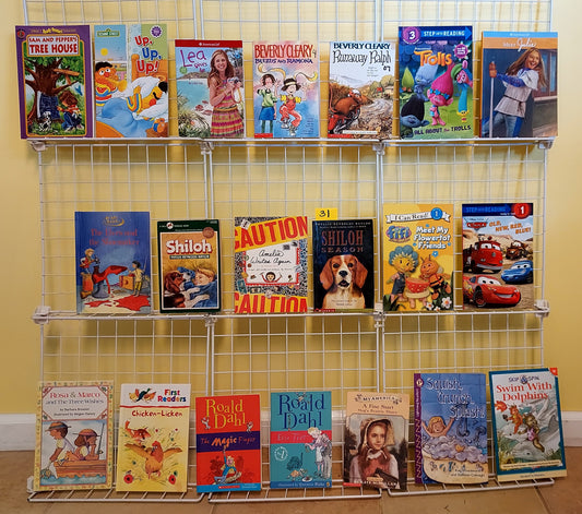 20 children's chapter books & readers for Grades 2-4 (used, set #c31)