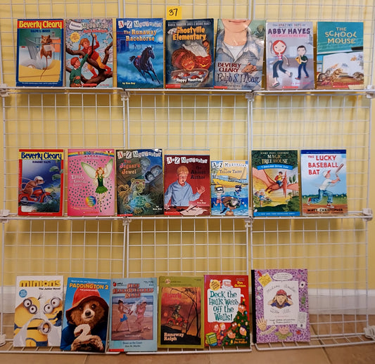 20 children's chapter books for Grades 2-4 (used, set #c37)