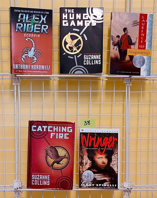 5 teen chapter books for Grades 6 & Up (used / set #c38)