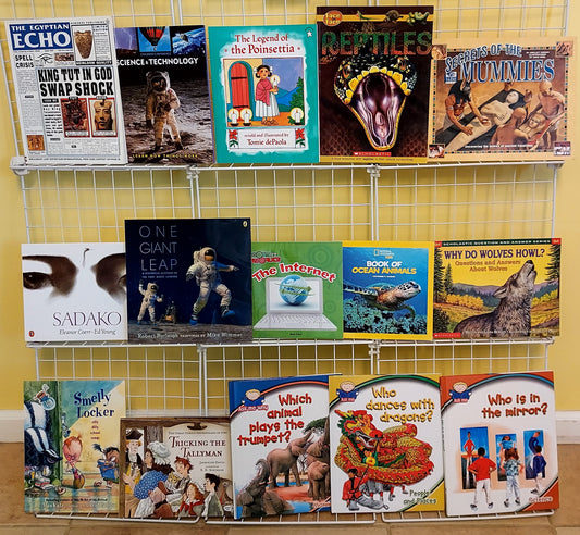 15 children's picture books for Grades 2-5 (used, set #p10)