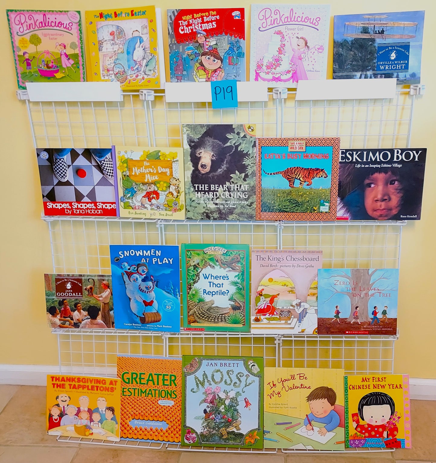 20 picture books for Kindergarten - 2nd grade (9 new & 11 used, set #p19)