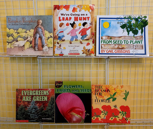 6 FALL & PLANTS picture books for Kindergarten - 1st grade (used, set #p40)