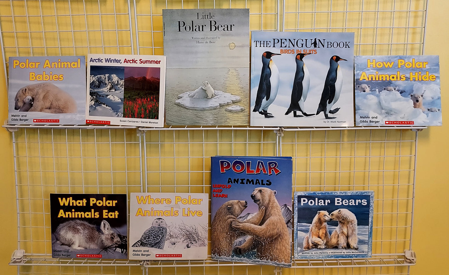 9 polar region picture books for Kindergarten - 1st grade (used, set #p41)