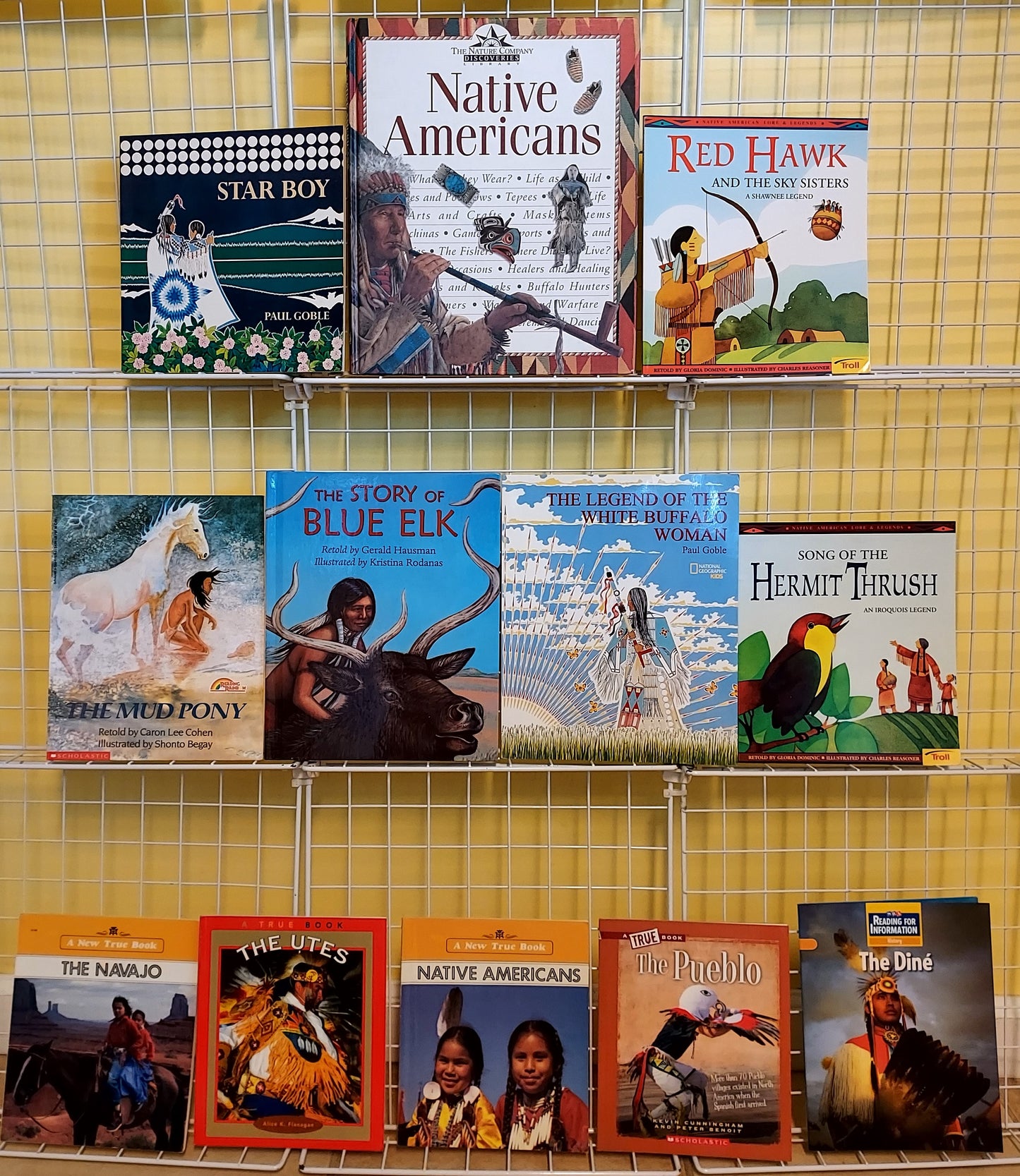 12 children's books about NATIVE AMERICANS  (used, set #p64)