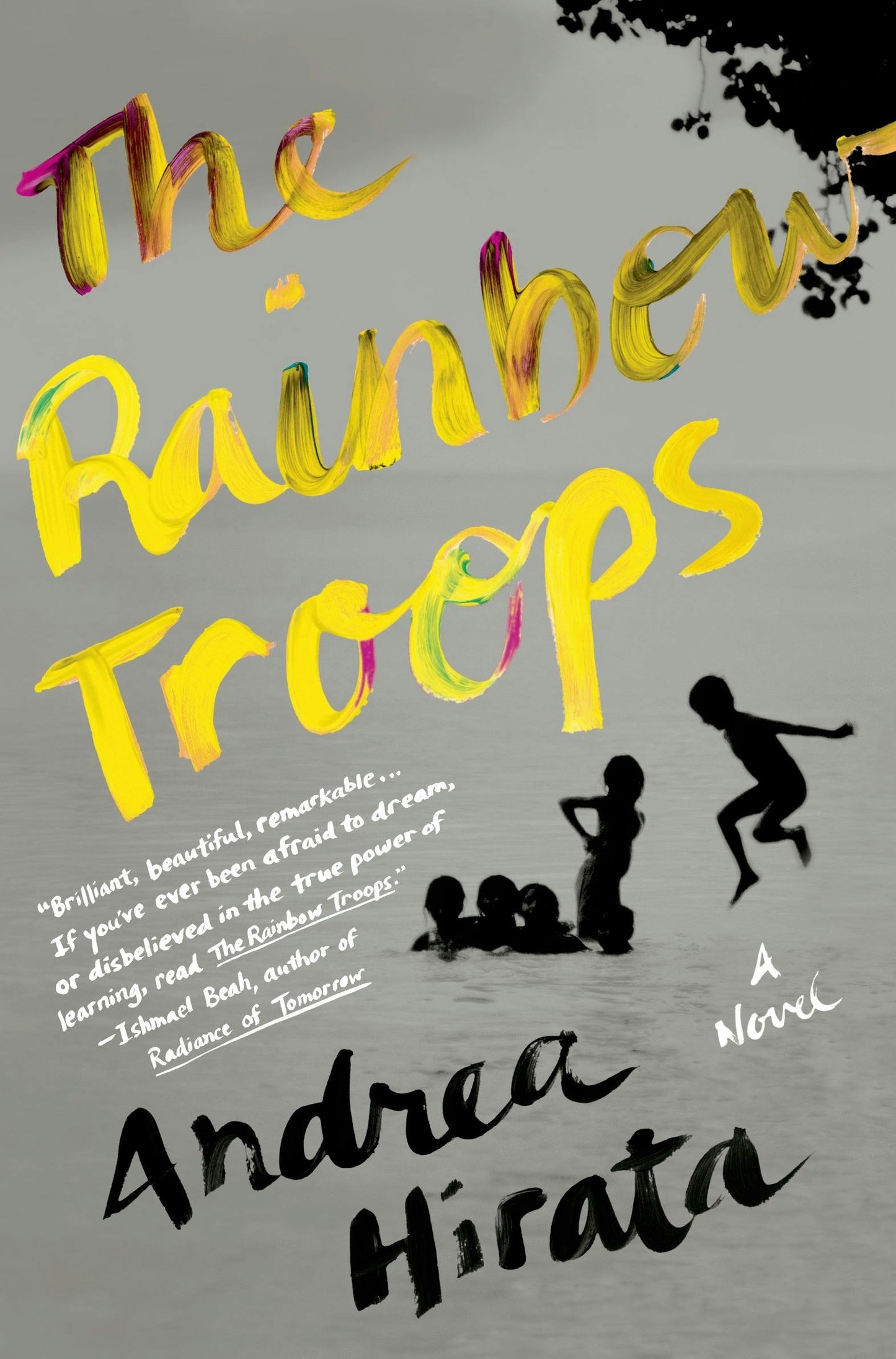 The Rainbow Troops by Andrea Hirata (used, written for adults)