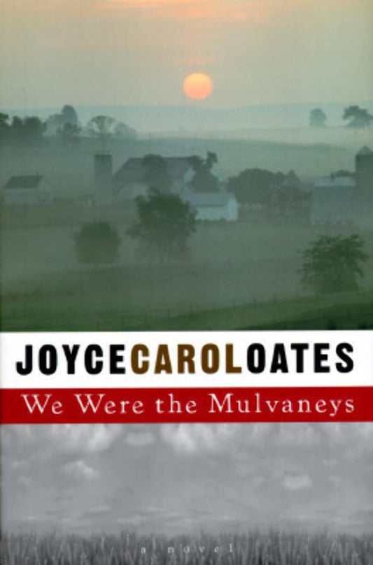 We Were the Mulvaneys by Joyce Carol Oates (used, written for adults)